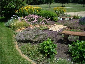 Display Gardens with annual and perennial plants