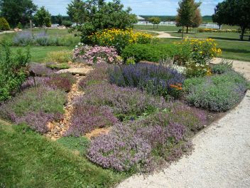 Display Gardens with annual and perennial plants